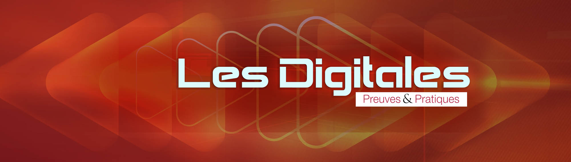Bannière digitales PP