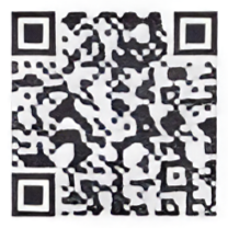 iOS QR Code