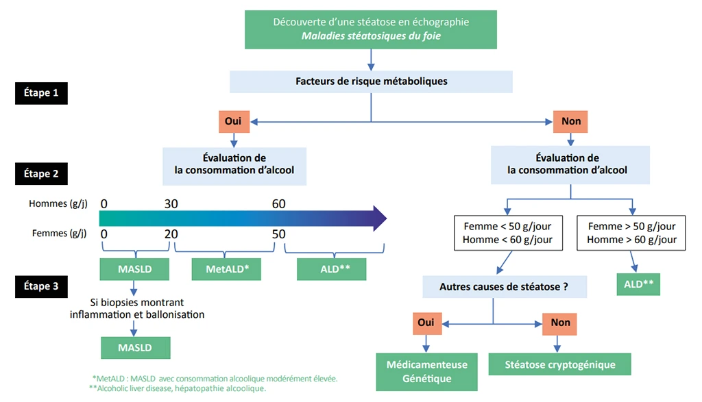 Démarche nosologique des maladies (dys)métaboliques du foie Démarche nosologique des maladies (dys)métaboliques du foie