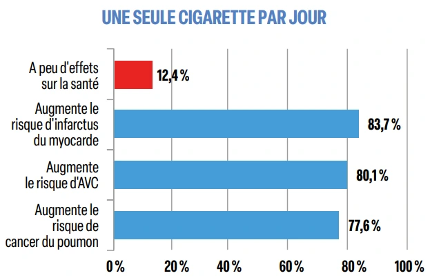 une seule cigarette par jour une seule cigarette par jour