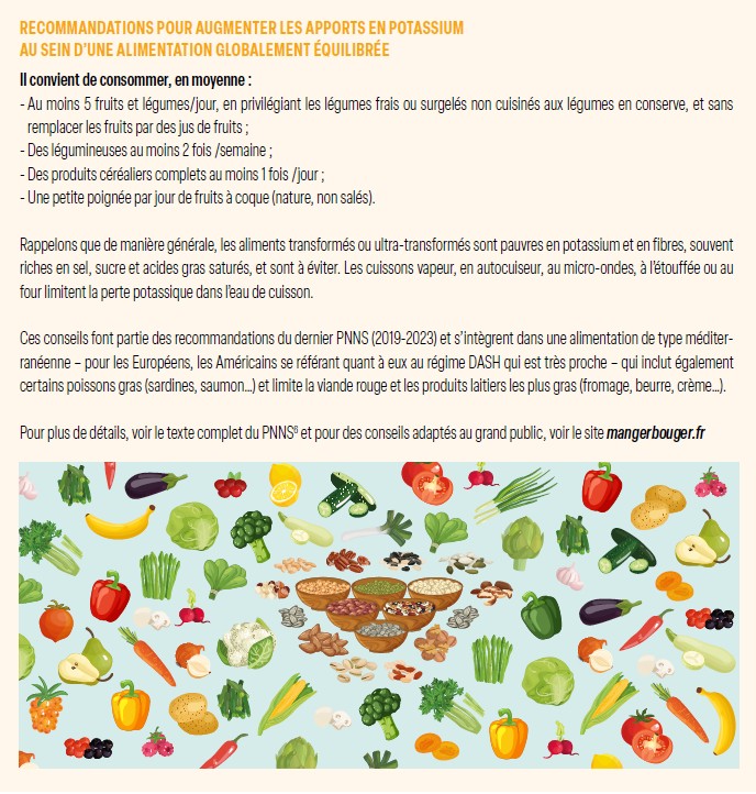 RECOMMANDATIONS POUR AUGMENTER LES APPORTS EN POTASSIUM AU SEIN D’UNE ALIMENTATION GLOBALEMENT ÉQUILIBRÉE