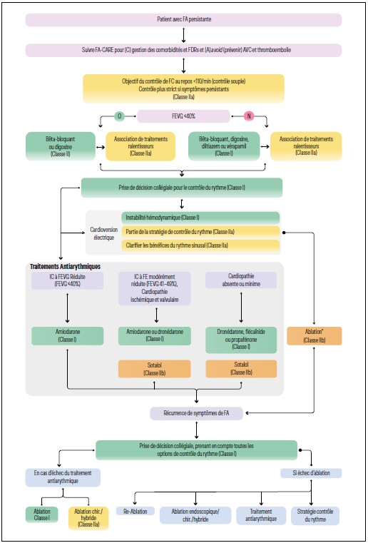 Arbre diagnostique pour le traitement anti-arythmique de la FA persistante.