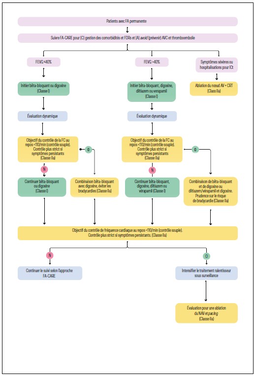 Arbre diagnostique proposé pour le contrôle de la fréquence cardiaque dans la FA permanente.