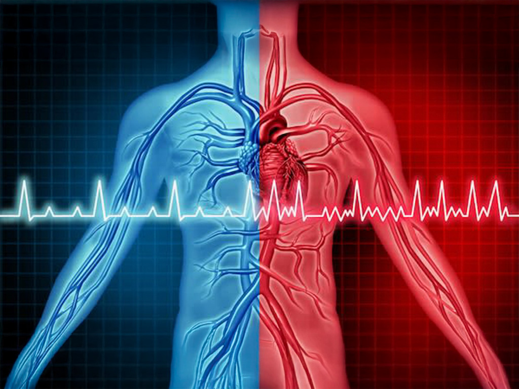 Fibrillation atriale : deux traitements au centre de sa prise en charge