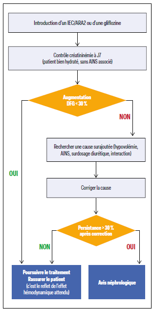 Néphrotoxicité – Figure 1